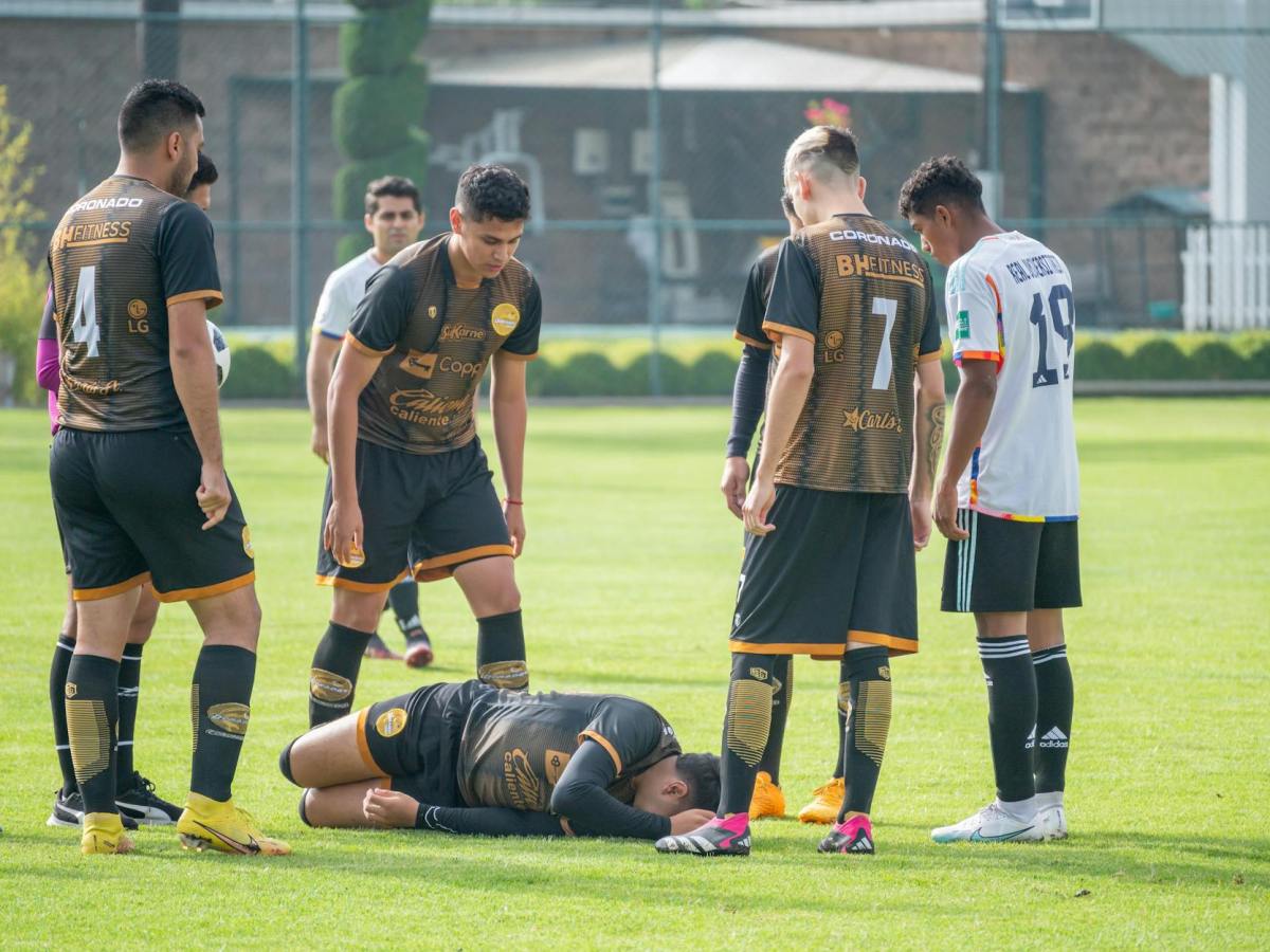 The homeopathic treatment of&nbsp;sports-injuries