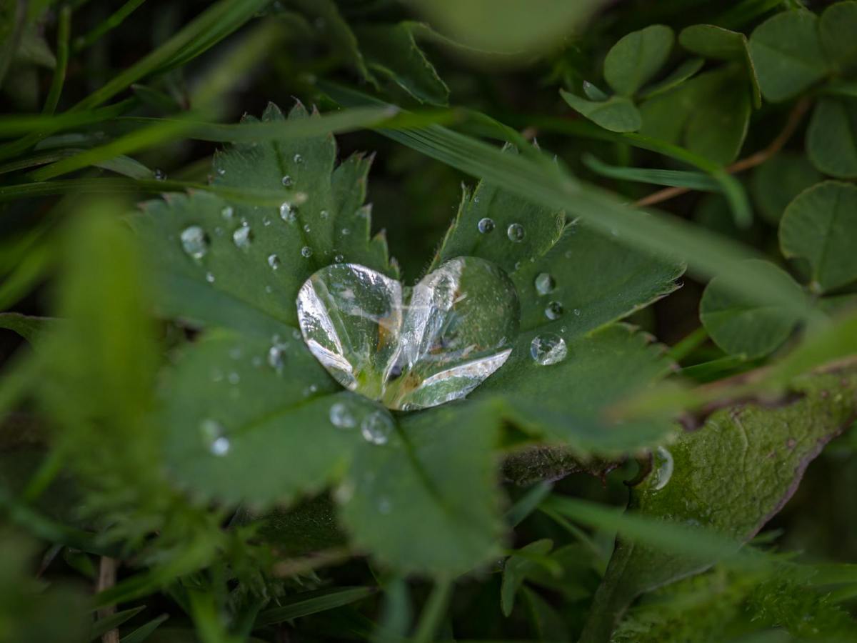 Help yourself to a healthy&nbsp;heart